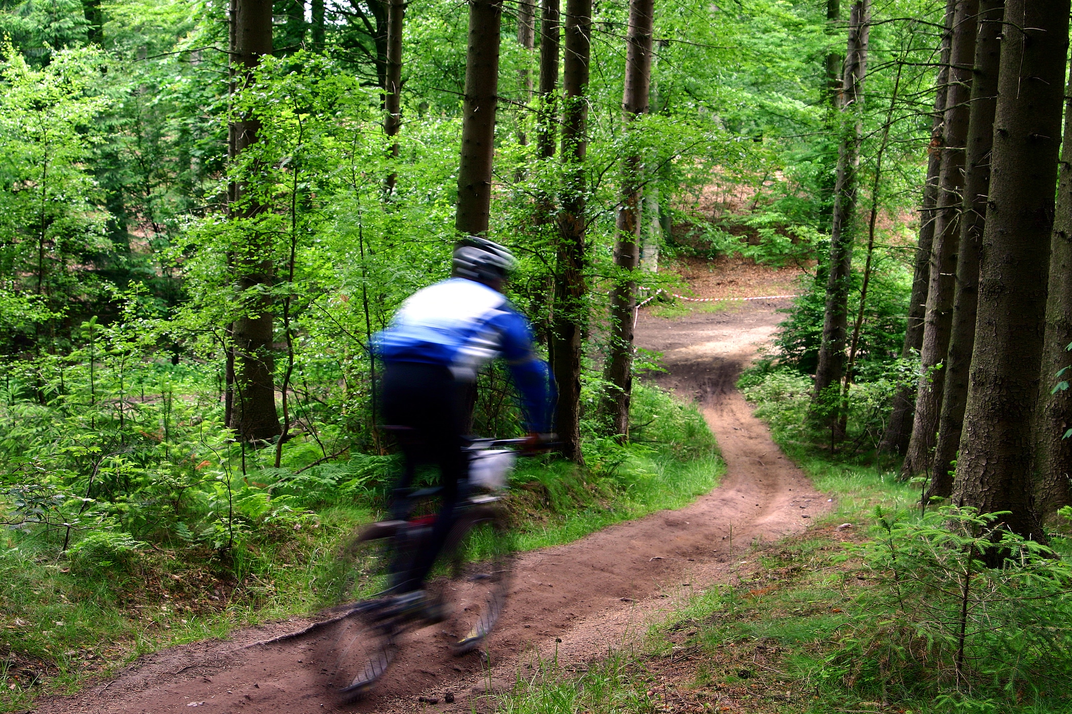 Gefährlich: Mountainbike-Fahrer mit hoher Geschwindigkeit im Wald
