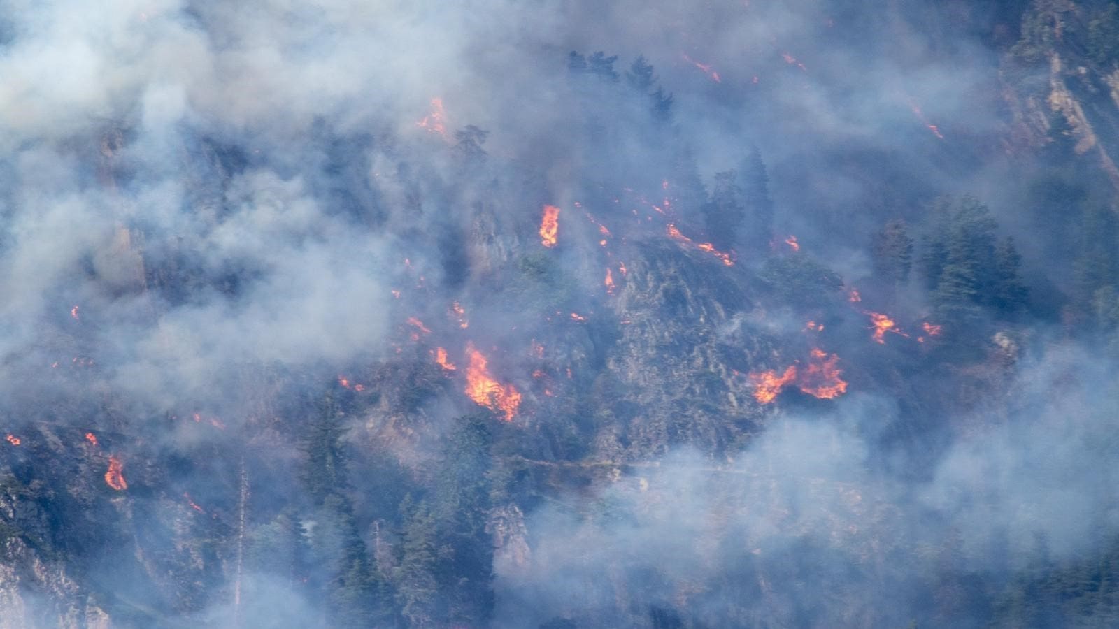 Deckung für Brandschäden: Waldbrand in Bitsch vom 17. Juli 2023. Bild: © Kantonspolizei Wallis.